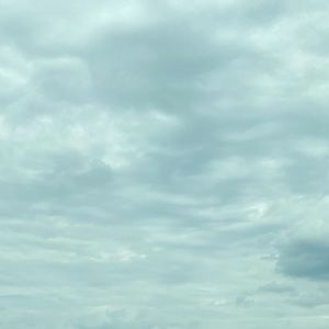 Meet your Posher, Alma